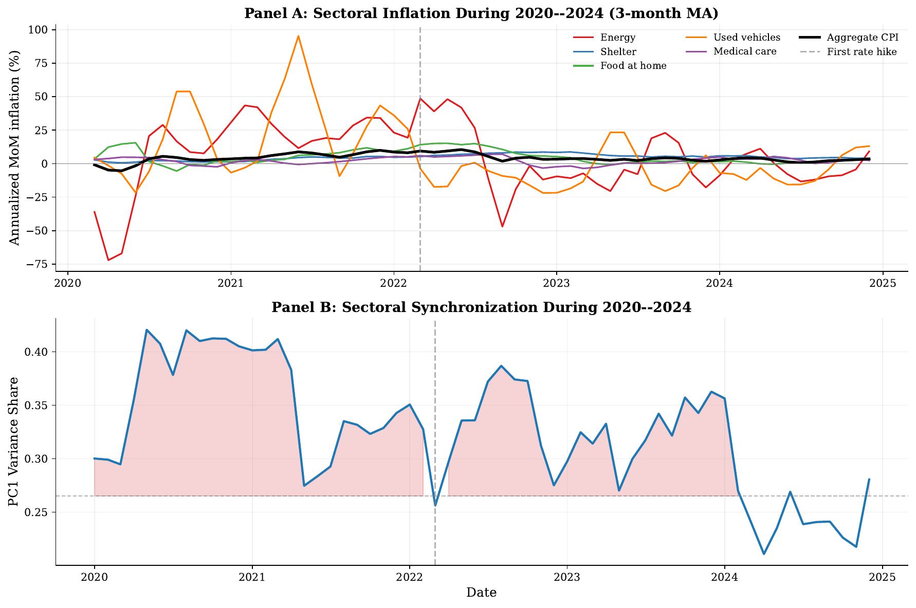 The 2020 to 2024 case study: sector inflation rates and the synchronization index, which stays in its high regime from 2020 through early 2024, with the first rate hike marked